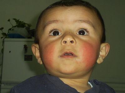 ULTIMAS FOTOS FAMILIA